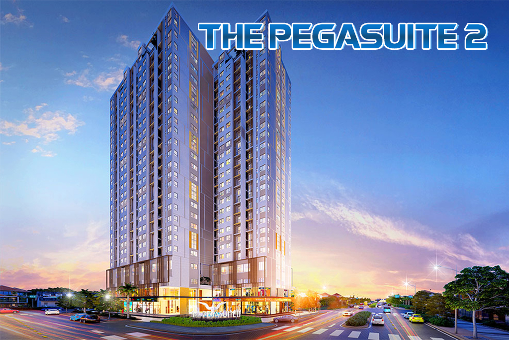 THE PEGASUITE II